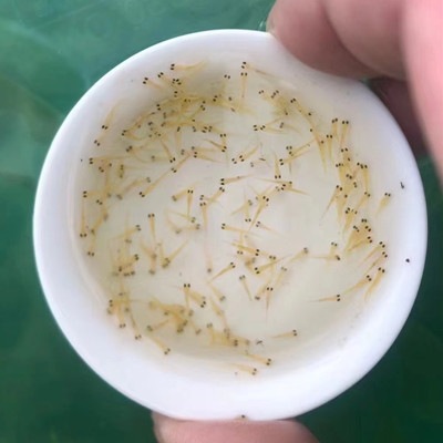 1705292780775017.jpg 水花400副本.jpg